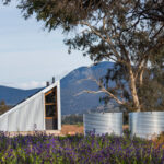 gawthorne’s hut cameron architects anderson